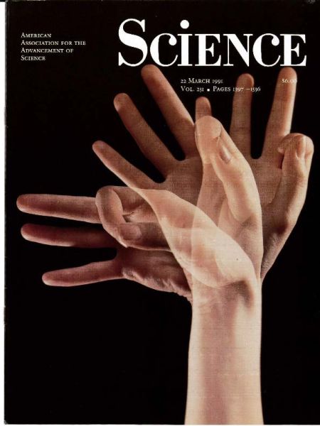 Science Babbling in the manual mode: Evidence for the ontogeny of language